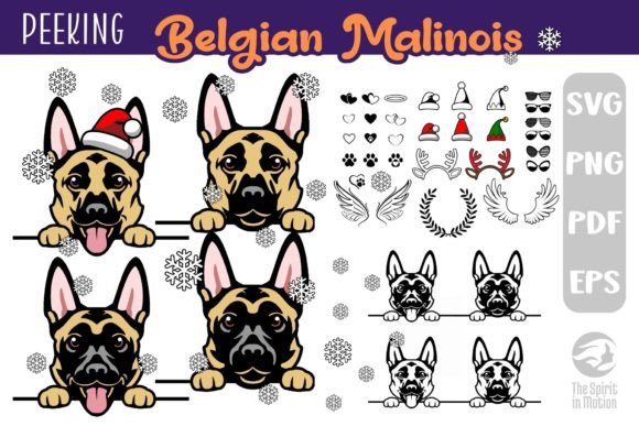 Download Belgian Malinois SVG, Clipart &amp; Cutfiles - Premium Resources